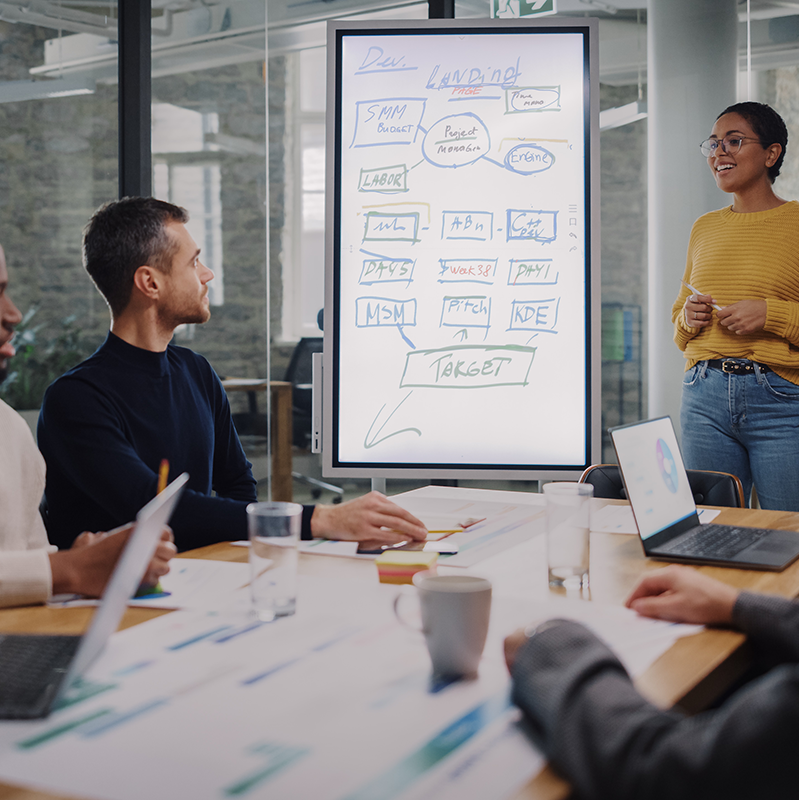 Program and Project Management IT Solutions