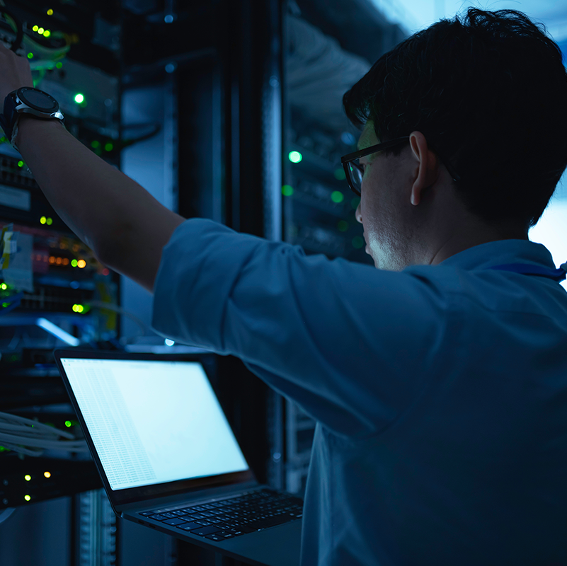 IT Systems Engineering and Integration